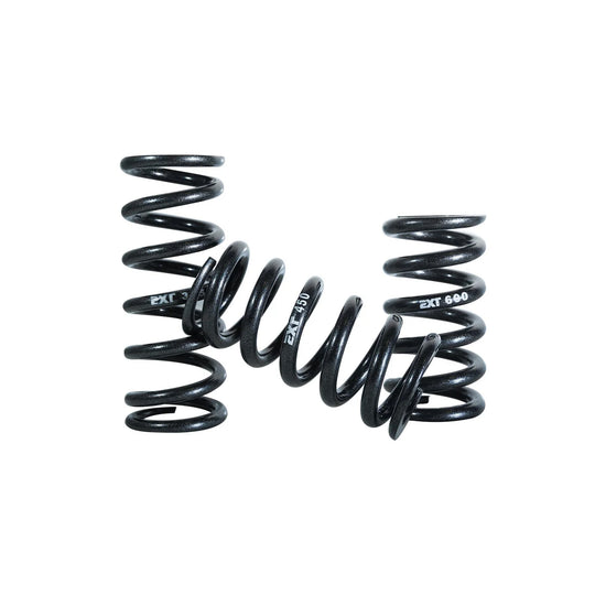 EXT MTB SPRING C SERIES C65 / 575lbs