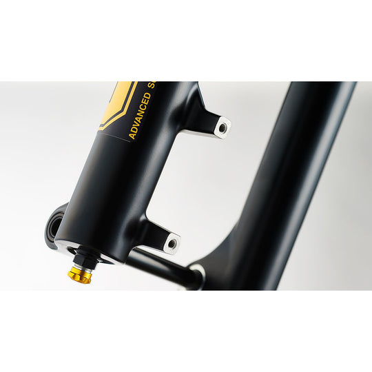 Ohlins RXF 38 29'' 